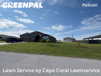 Lawn Service nearby Cape Coral, FL, 