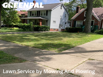 Yard Cutting nearby South Euclid, OH, 