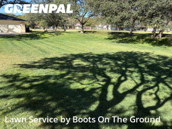 Lawn Care nearby Lubbock, TX, 