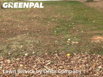 Lawn Service nearby Bowling Green, KY, 