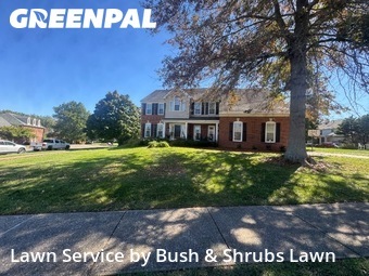 Grass Cutin Franklin,37064,Lawn Maintenance by Bush & Shrubs Lawn, work completed in Nov , 2025