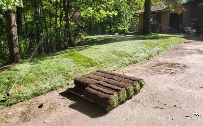 Work Image 4