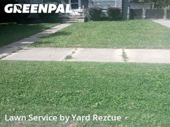 Lawn Care Service nearby Redford Charter Township, MI, 