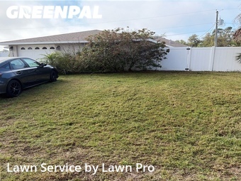 Yard Cutting nearby Venice, FL, 