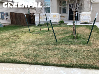 Lawn Cut nearby Georgetown, TX, 