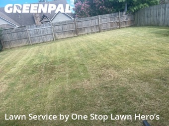 Grass Cutting nearby Memphis, TN, 