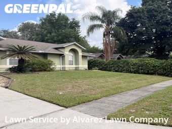 Lawn Mow nearby Ocoee, FL, 