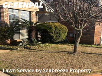 Grass Cutting nearby Mary Esther, FL, 