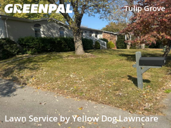 Lawn Cutting nearby Nashville, TN, 