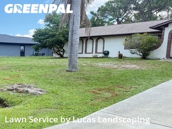 Lawn Cut nearby Palm Bay, FL, 