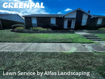 Grass Cutin The Colony,75056,Yard Cutting by Alfas Landscaping, work completed in Nov , 2025