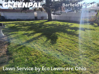 Lawn Mow nearby Grove City, OH, 