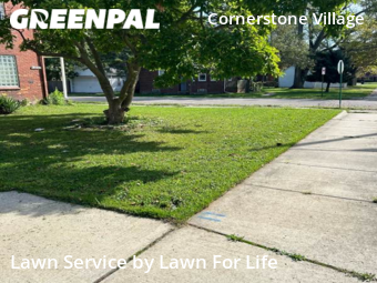 Lawn Mowing nearby Detroit, MI, 
