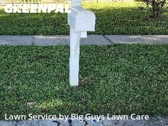 Lawn Cutting nearby Valrico, FL, 