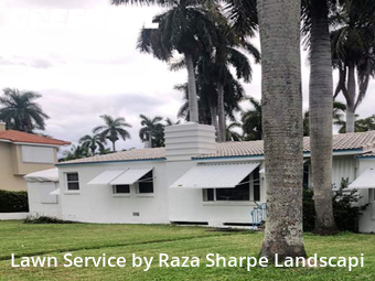 Grass Cut nearby Hollywood, FL, 