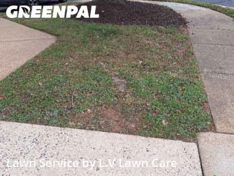 Lawn Cut nearby Vienna, VA, 
