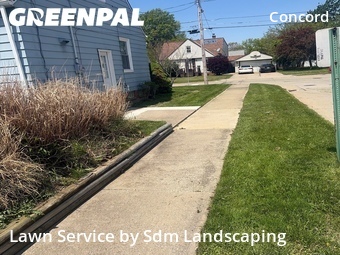 Grass Cut nearby Wickliffe, OH, 