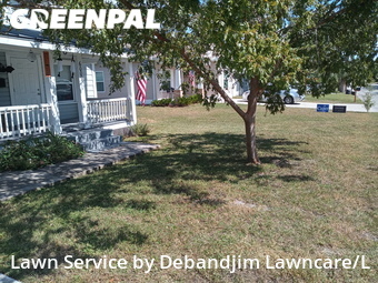 Lawn Cut nearby New Port Richey, FL, 