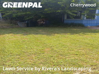 Lawn Care nearby Austin, TX, 