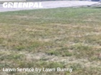 Grass Cut nearby Eden Prairie, MN, 