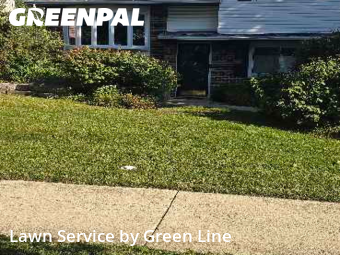 Lawn Care Service nearby Bolingbrook, IL, 