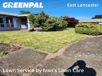 Lawn Cut nearby Salem, OR, 