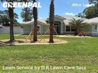 Yard Cutting nearby Palm Coast, FL, 