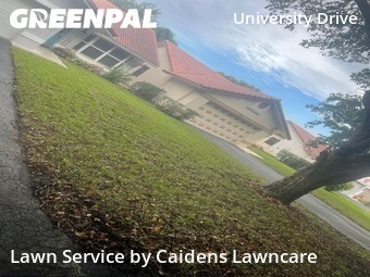 Yard Management in Coral Springs, 33065, Yard Cutting by Caidens Lawncare , work completed in Nov , 2025