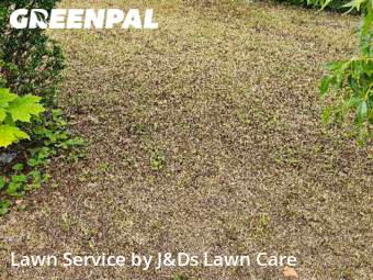 Lawn Care Service nearby Decatur, IL, 