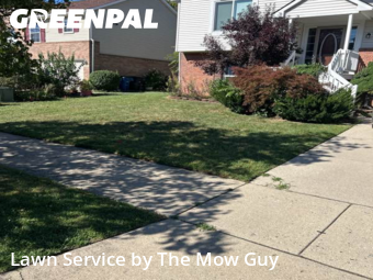 Grass Cutting nearby Westland, MI, 