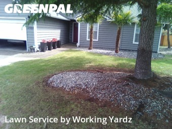 Front Yard Mowing in Federal Way, 98023, Yard Care by Working Yardz, work completed in Aug , 2025