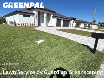 Lawn mowed in Cape Coral, 33914