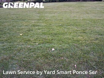 Lawn mowed in Lisle, 60532