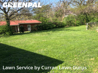 Yard Cutting nearby St. Louis, IL, 