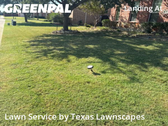 Lawn Maintenancein Frisco,75036,Lawn Mow by Texas Lawnscapes, work completed in Nov , 2025