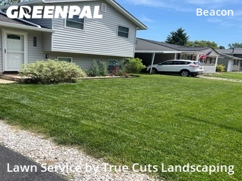 Lawn Mowing Service nearby Hilliard, OH, 