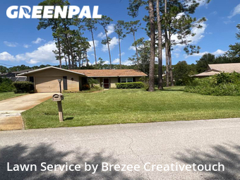 Lawn Care nearby Palm Coast, FL, 
