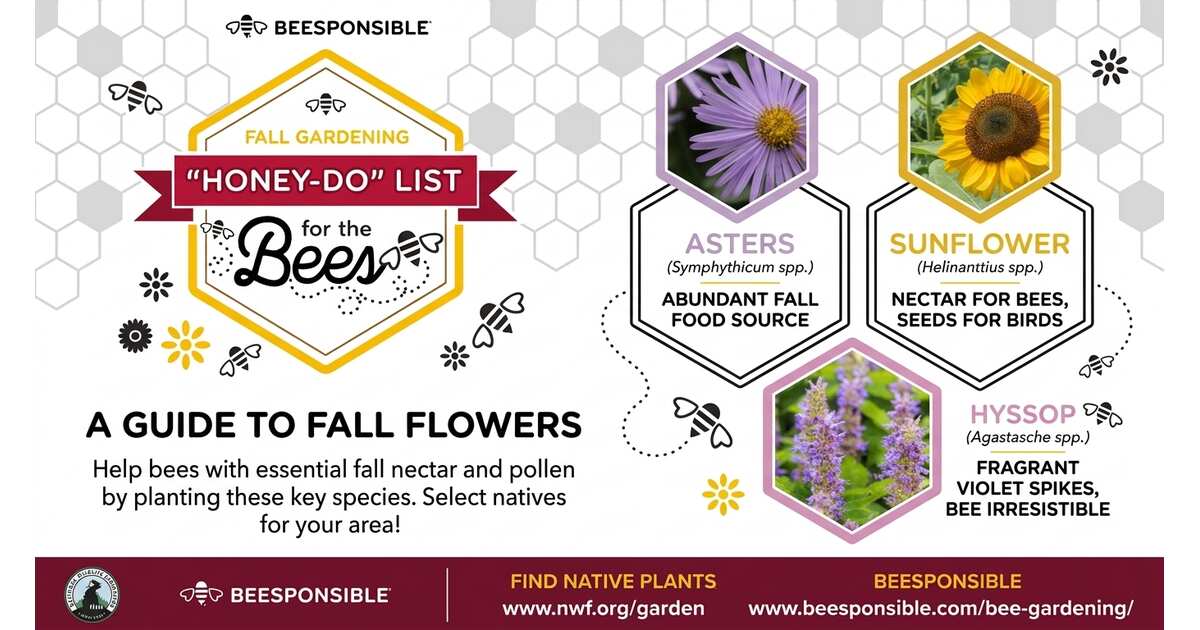 Fall Flowers for Bees: Your Guide to Bee-Friendly Flowers