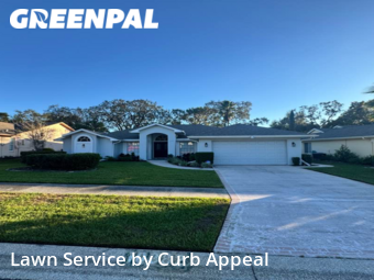 Lawn Mow nearby Spring Hill, FL, 