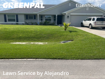 Lawn Cut nearby Lehigh Acres, FL, 