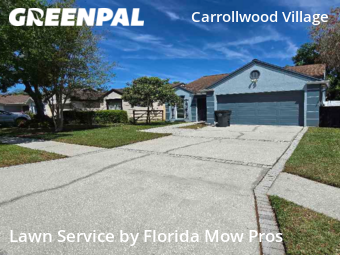 Grass Cut nearby Tampa, FL, 