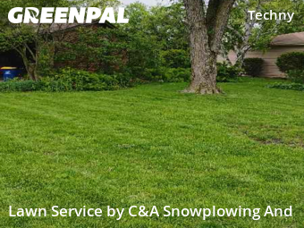 Lawn Upkeep in Northbrook, 60062, Lawn Mowing by C&A Snowplowing And , work completed in Nov , 2025