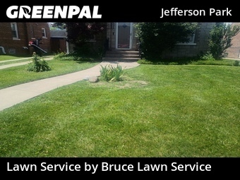 Lawn Care nearby Chicago, IL, 