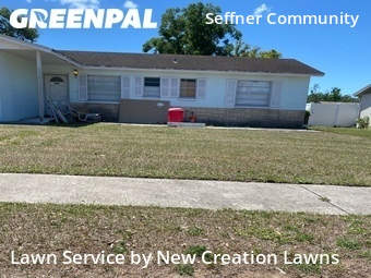 Lawn Care Servicein Brandon,33510,Lawn Care Service by New Creation Lawns, work completed in Jun , 2026