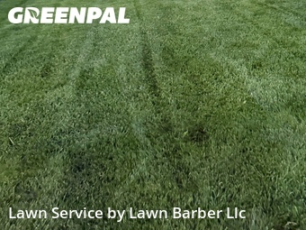 Lawn Service nearby Greeley, CO, 