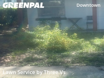 Lawn Mowingin Clearwater,33755,Lawn Cut by Three Vs , work completed in Jul , 2026
