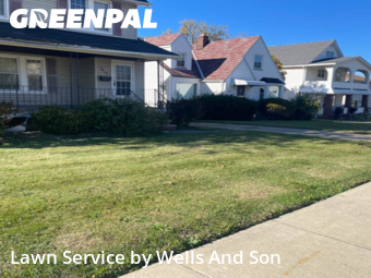 Lawn Cut nearby Garfield Heights, OH, 