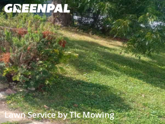 Yard Mowing nearby Decatur, IL, 