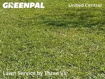 Lawn Cut nearby St. Petersburg, FL, 