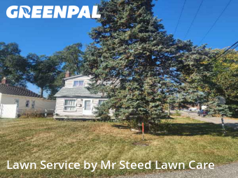 Yard Work in Utica, 48317, Yard Cutting by Mr Steed Lawn Care, work completed in Dec , 2025